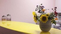 Empfang der Frauenarztpraxis Lauscher